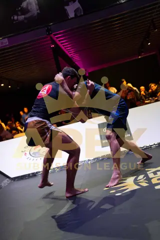 ASL 2 event photo APEX-100
